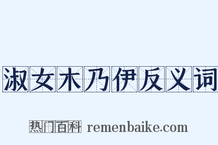 淑女木乃伊反义词是什么意思的图片